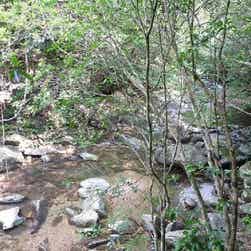 トリップアドバイザー提供