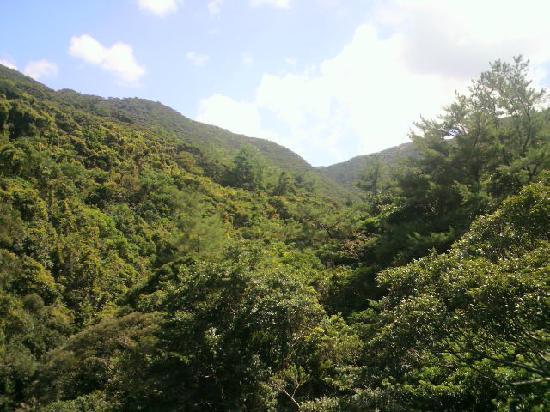 トリップアドバイザー提供