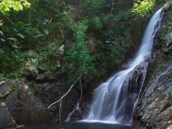 トリップアドバイザー提供