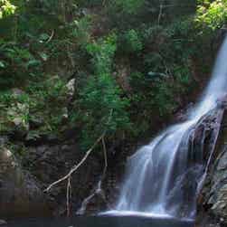 トリップアドバイザー提供