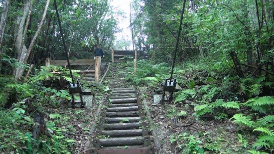 トリップアドバイザー提供