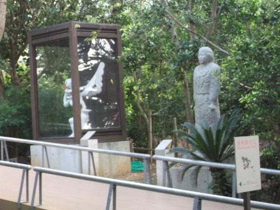 トリップアドバイザー提供