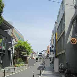 トリップアドバイザー提供