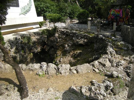 トリップアドバイザー提供