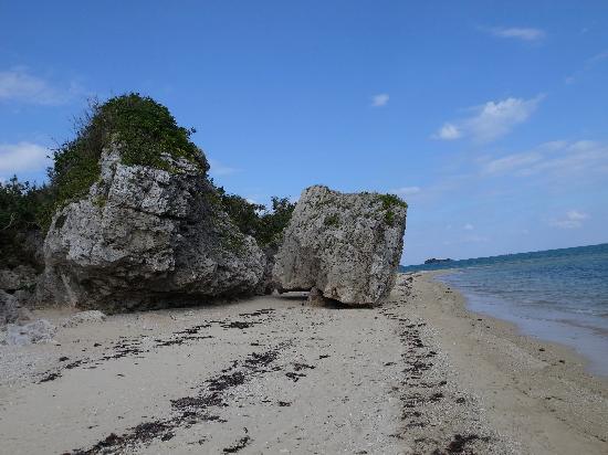 トリップアドバイザー提供