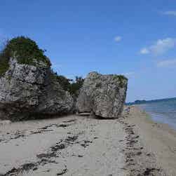 トリップアドバイザー提供