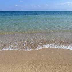 トリップアドバイザー提供