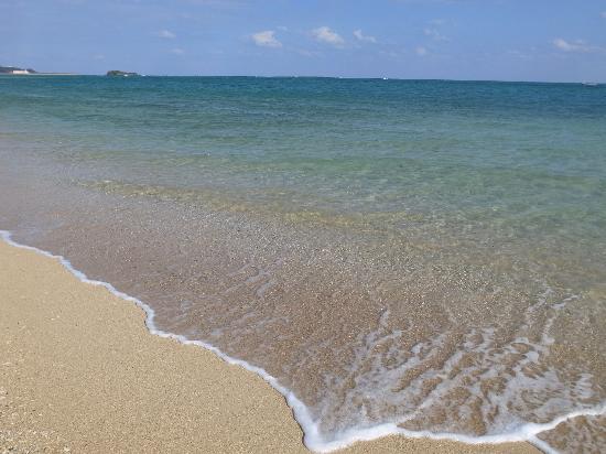 トリップアドバイザー提供