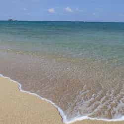 トリップアドバイザー提供