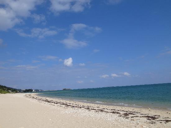 トリップアドバイザー提供