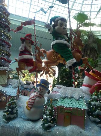 トリップアドバイザー提供