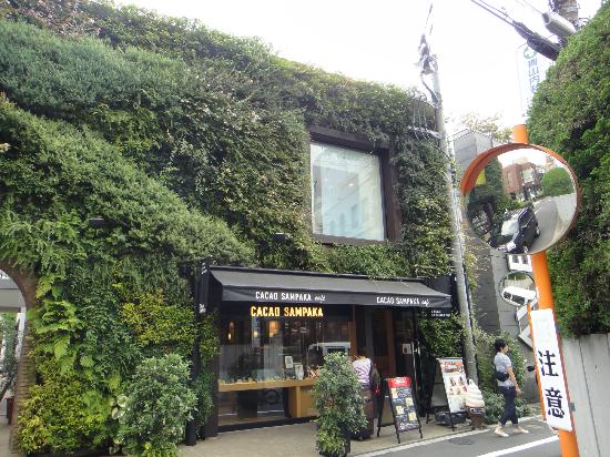 トリップアドバイザー提供