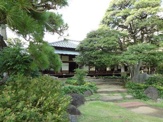 トリップアドバイザー提供