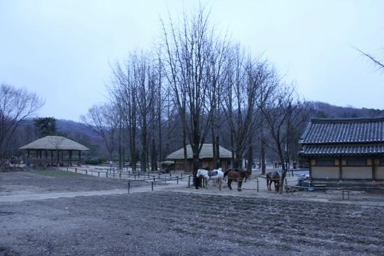 トリップアドバイザー提供