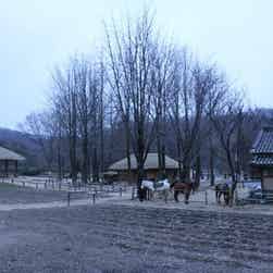 トリップアドバイザー提供