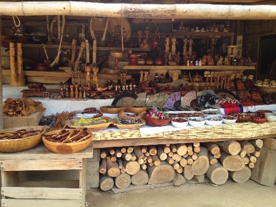 トリップアドバイザー提供