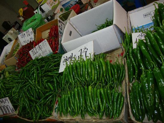 トリップアドバイザー提供