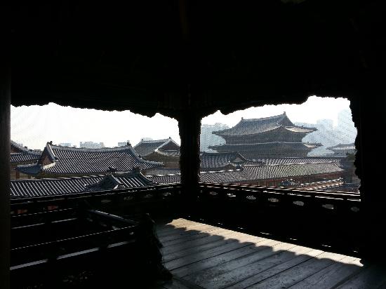 トリップアドバイザー提供