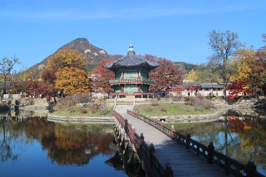 トリップアドバイザー提供