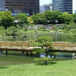 トリップアドバイザー提供