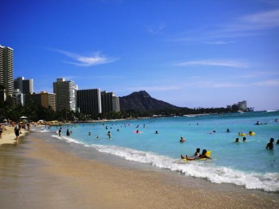 トリップアドバイザー提供