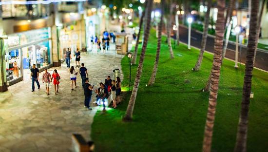 トリップアドバイザー提供