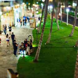 トリップアドバイザー提供