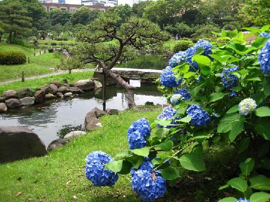 トリップアドバイザー提供