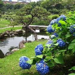 トリップアドバイザー提供