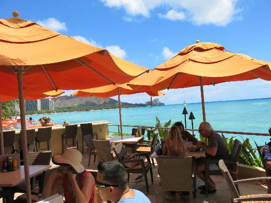 トリップアドバイザー提供