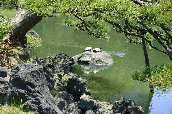 トリップアドバイザー提供
