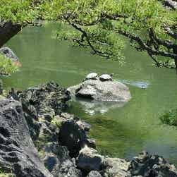 トリップアドバイザー提供