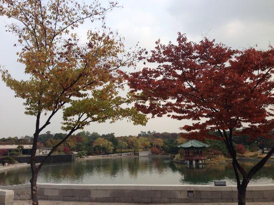 トリップアドバイザー提供