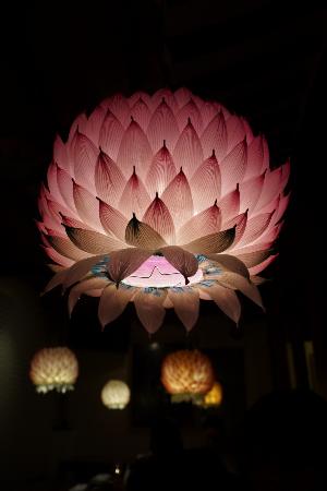 トリップアドバイザー提供