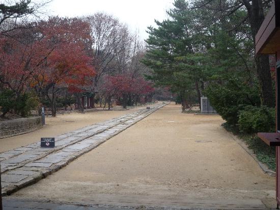 トリップアドバイザー提供