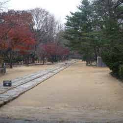 トリップアドバイザー提供