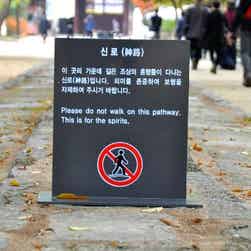 トリップアドバイザー提供