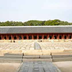 トリップアドバイザー提供