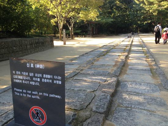 トリップアドバイザー提供