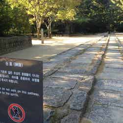 トリップアドバイザー提供