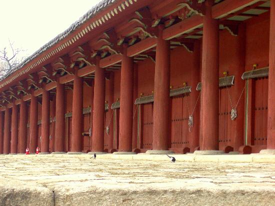 トリップアドバイザー提供