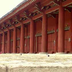 トリップアドバイザー提供