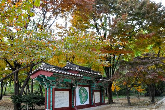 トリップアドバイザー提供