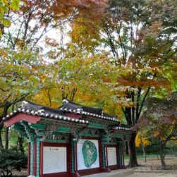 トリップアドバイザー提供