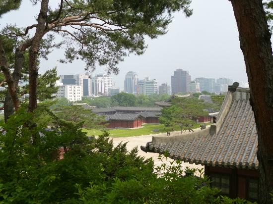 トリップアドバイザー提供