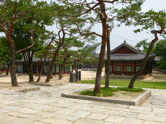 トリップアドバイザー提供