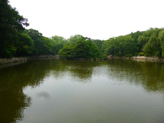 トリップアドバイザー提供