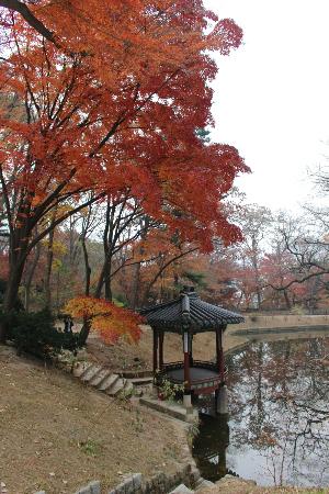 トリップアドバイザー提供