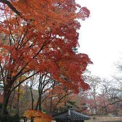 トリップアドバイザー提供