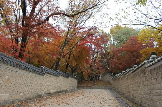 トリップアドバイザー提供